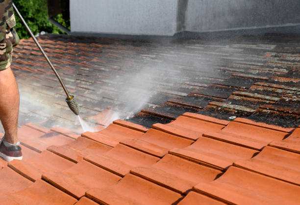 Best Deck Pressure Washing  in Osage, IA