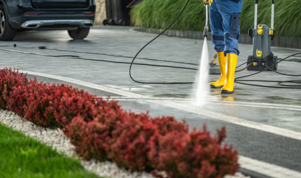 Best Commercial Pressure Washing  in Osage, IA