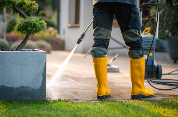 Best Local Pressure Washing Services  in Osage, IA